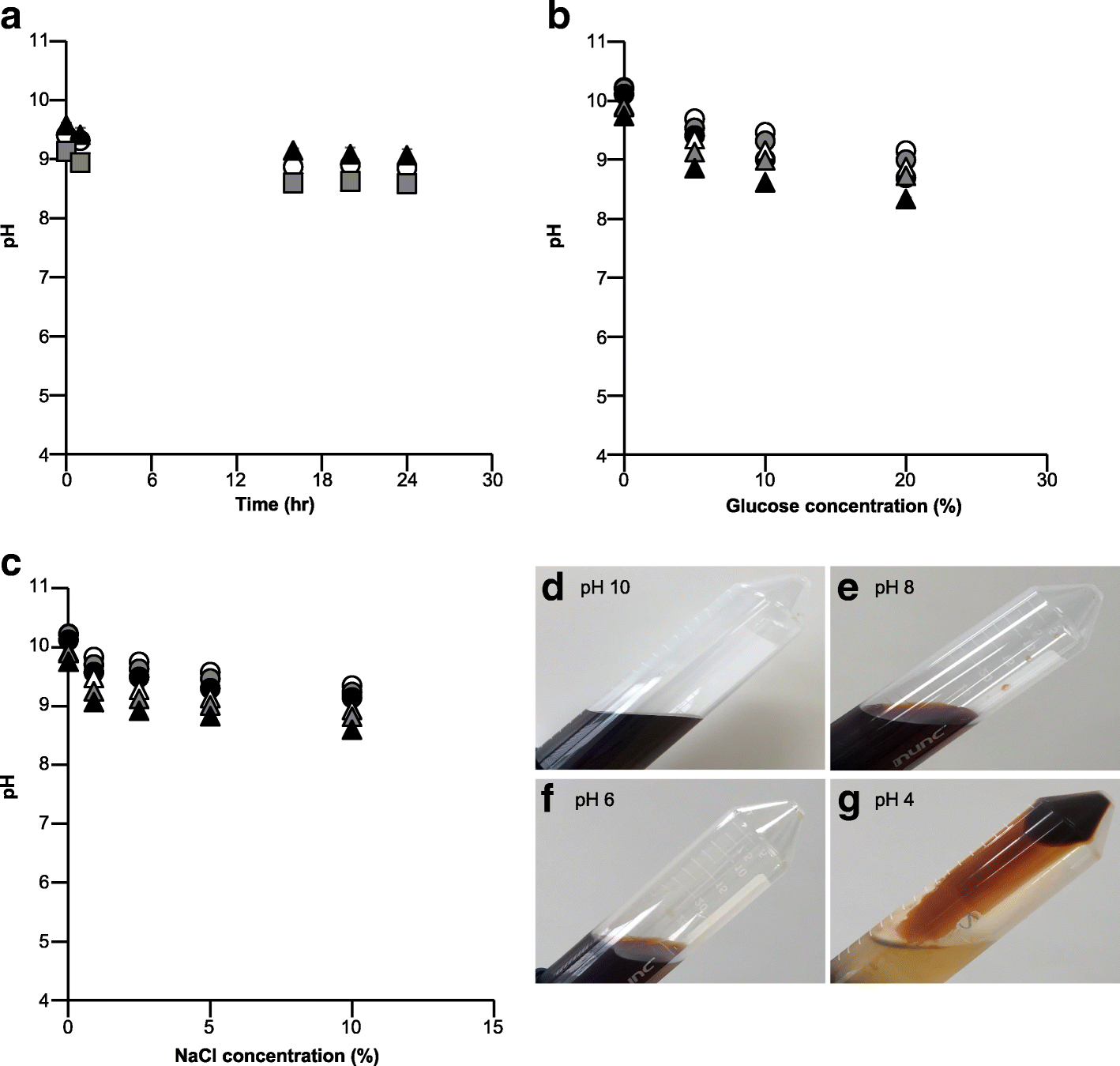 Pharmaceutical stability of colloidal saccharated iron oxide injection