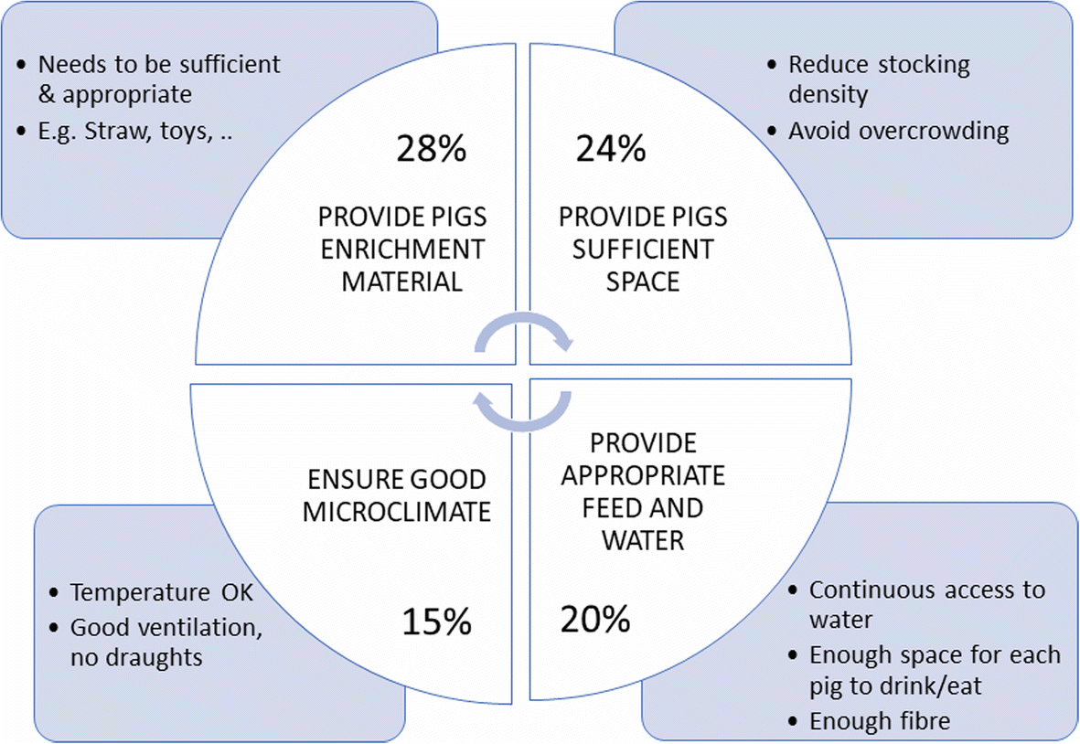 ‘Phasing out pig tail docking in the EU present state, challenges and