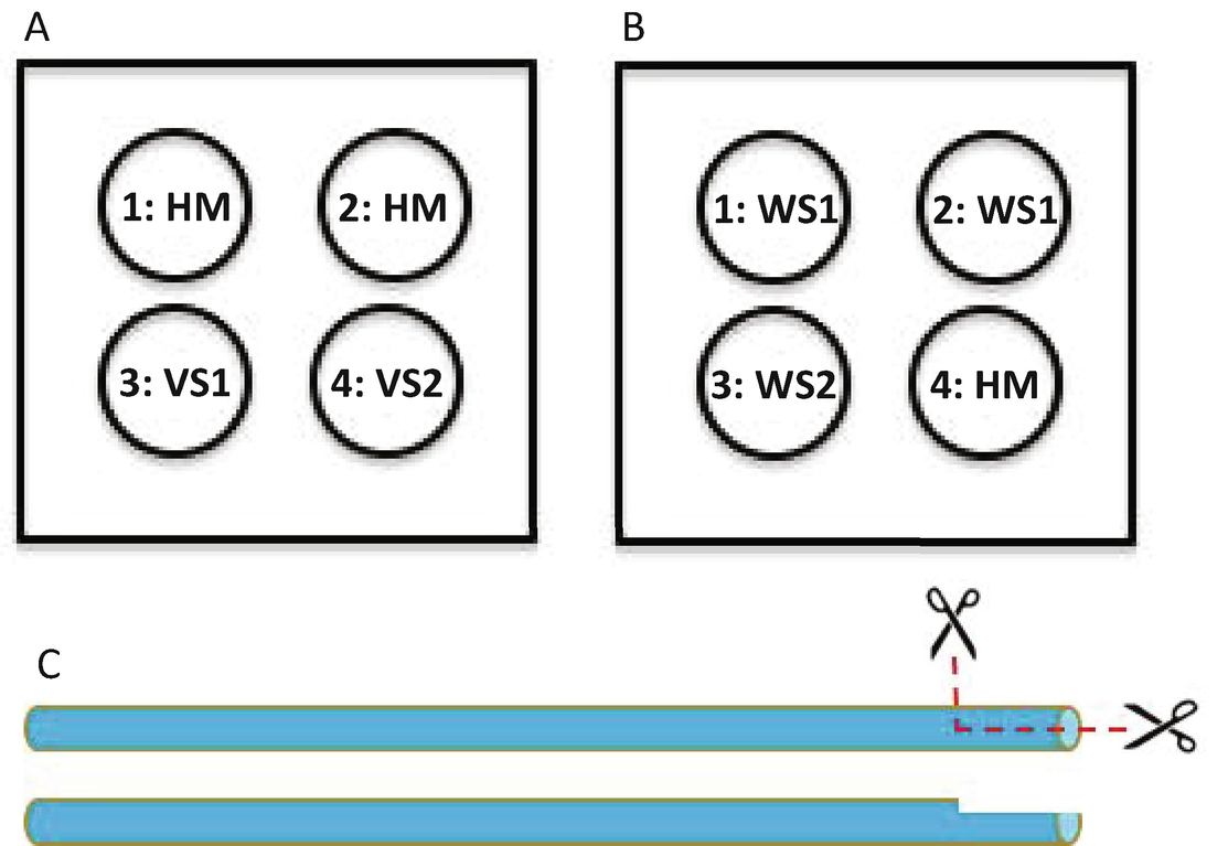 Figure 2 | Vitrification of Equine In Vivo-Derived Embryos After Blastocoel  Aspiration | SpringerLink