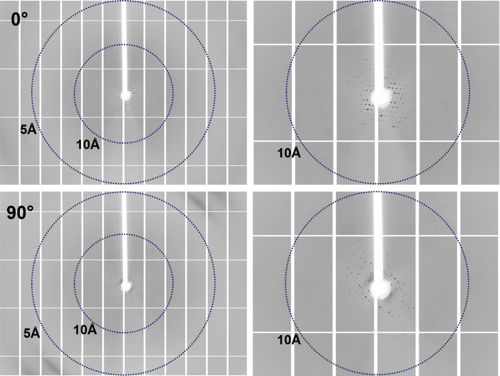 Figure 5 | Methods for Crystallization and Structural Determination of M-T7  Protein from Myxoma Virus | SpringerLink