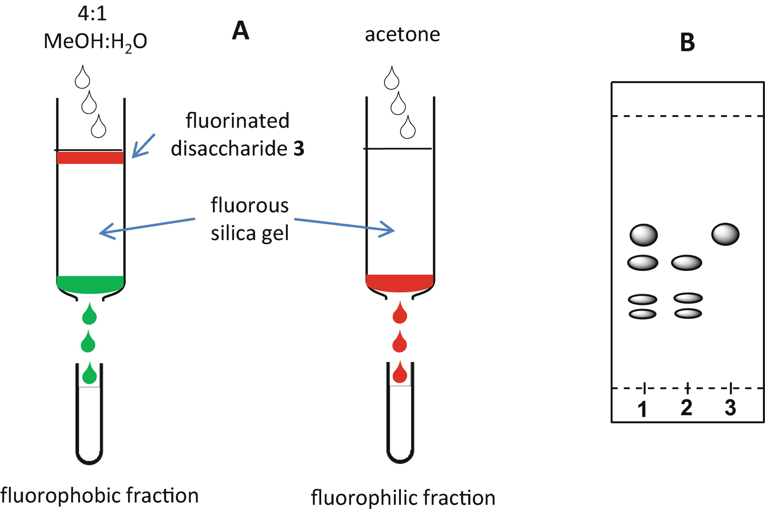 Figure 4 | Fluorous-Tag-Assisted Synthesis of GAG-Like Oligosaccharides |  SpringerLink