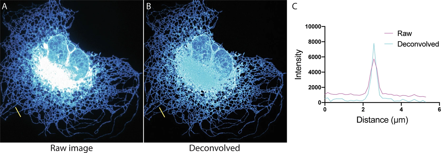 Advances in Confocal Microscopy and Selected Applications
