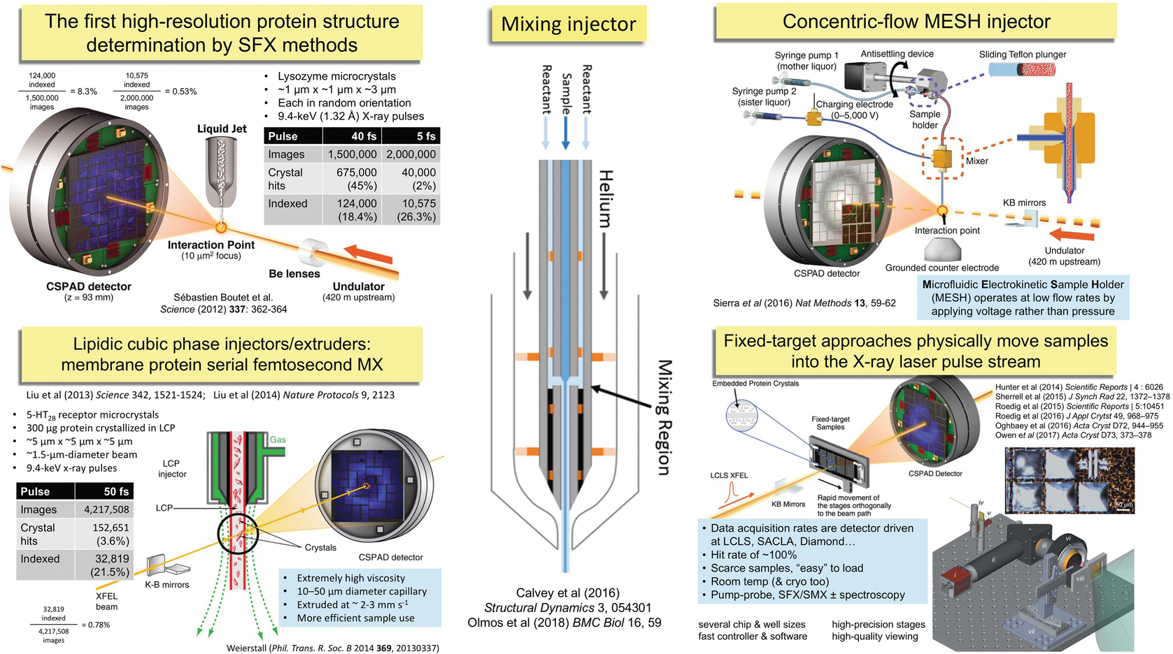 Figure 2 | Dynamic Structural Biology Experiments at XFEL or Synchrotron  Sources | SpringerLink