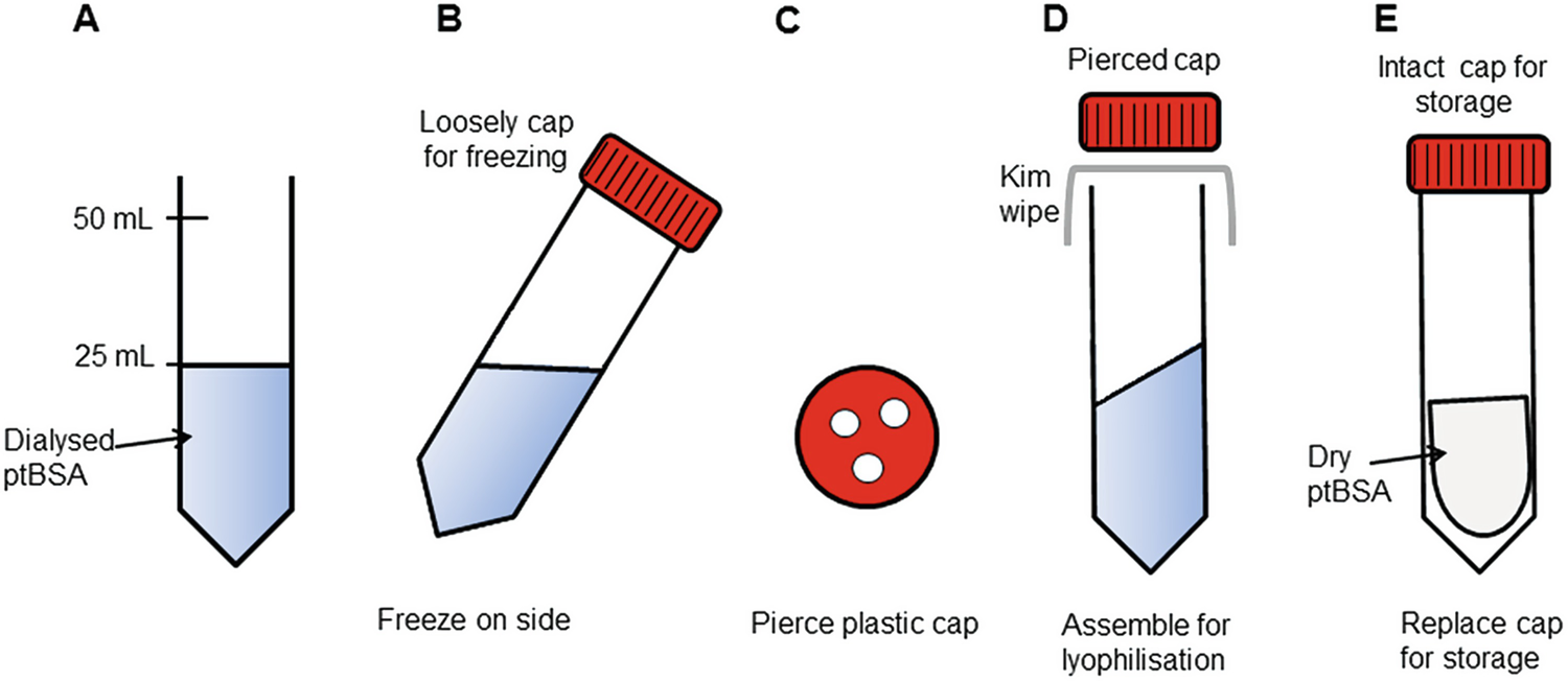 Figure 1 | Lectin Histochemistry for Tissues and Cells, and Dual Lectin and  Antibody Co-localization | SpringerLink