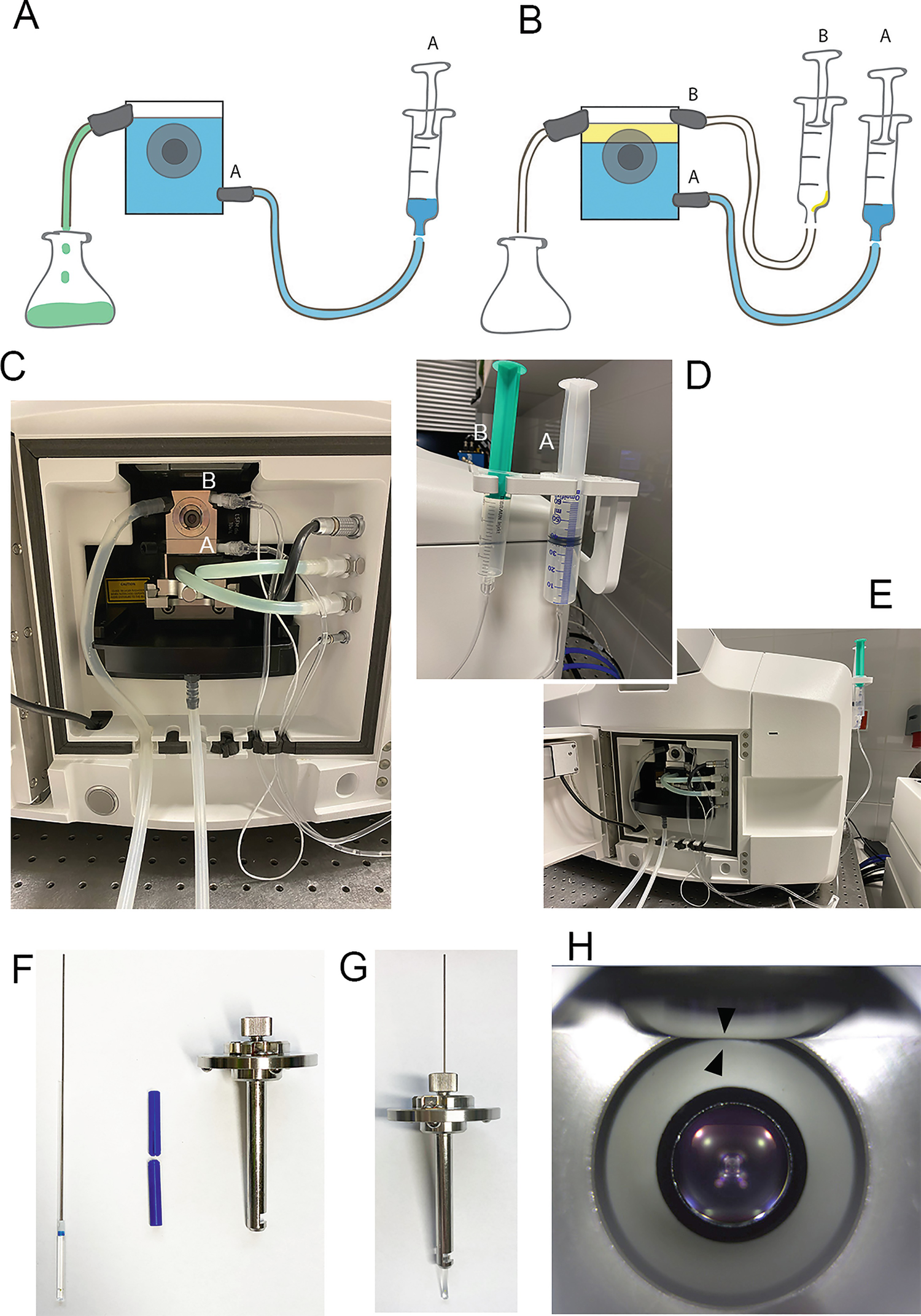 Figure 2 | Application of Chemical Inhibitors in Live Cell Imaging of Plant  Meiosis Using Light Sheet Fluorescence Microscopy | SpringerLink