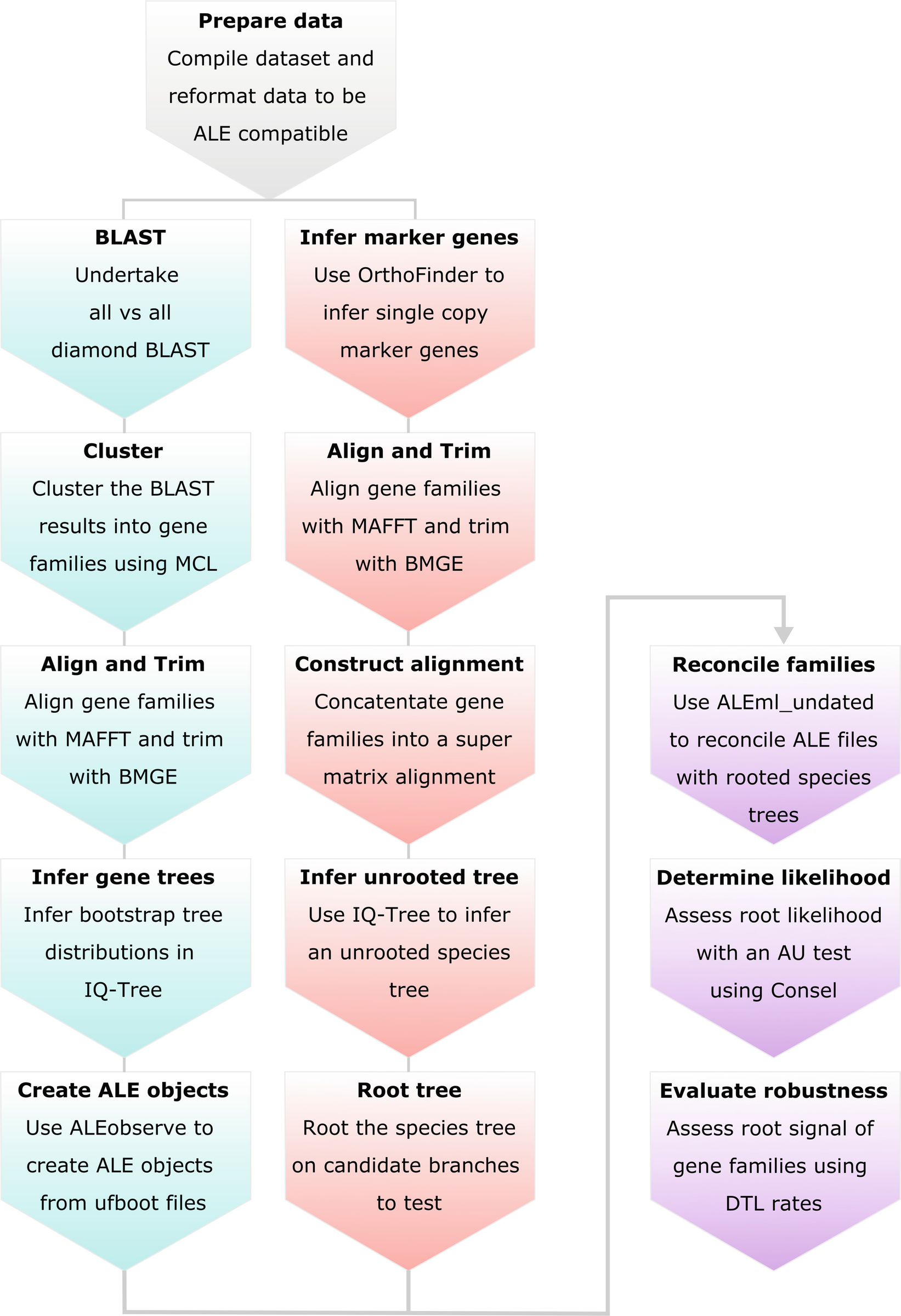 Figure 4 | Rooting Species Trees Using Gene Tree-Species Tree  Reconciliation | SpringerLink