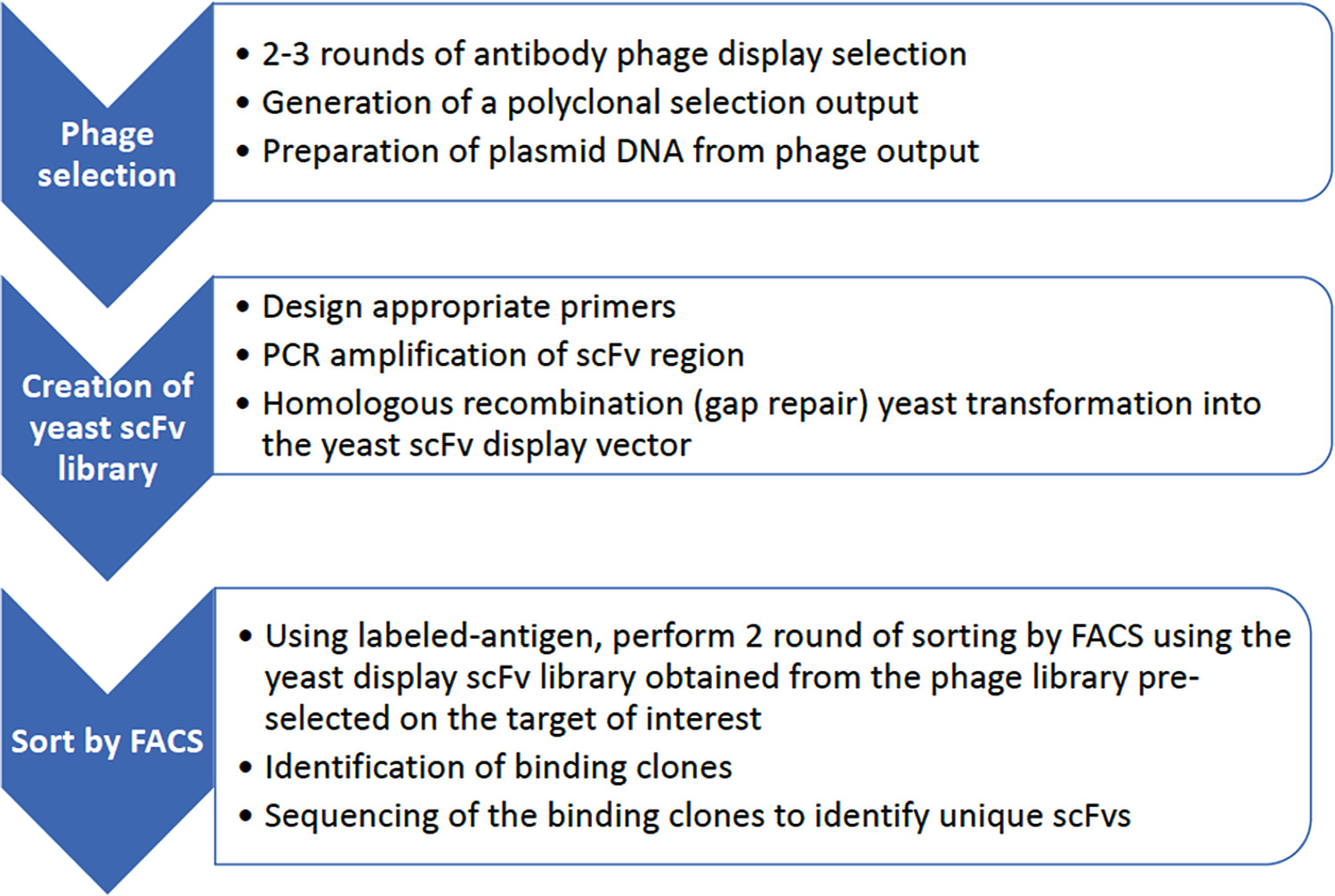 Figure 2 | Recombinant Antibody Selections by Combining Phage and Yeast  Display | SpringerLink