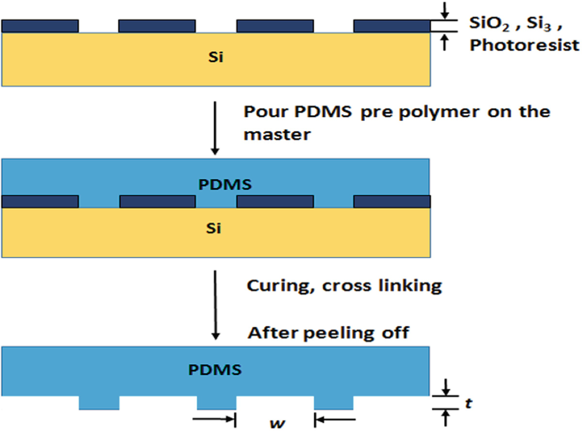 Figure 1 | Soft Lithography, Molding, and Micromachining Techniques for  Polymer Micro Devices | SpringerLink