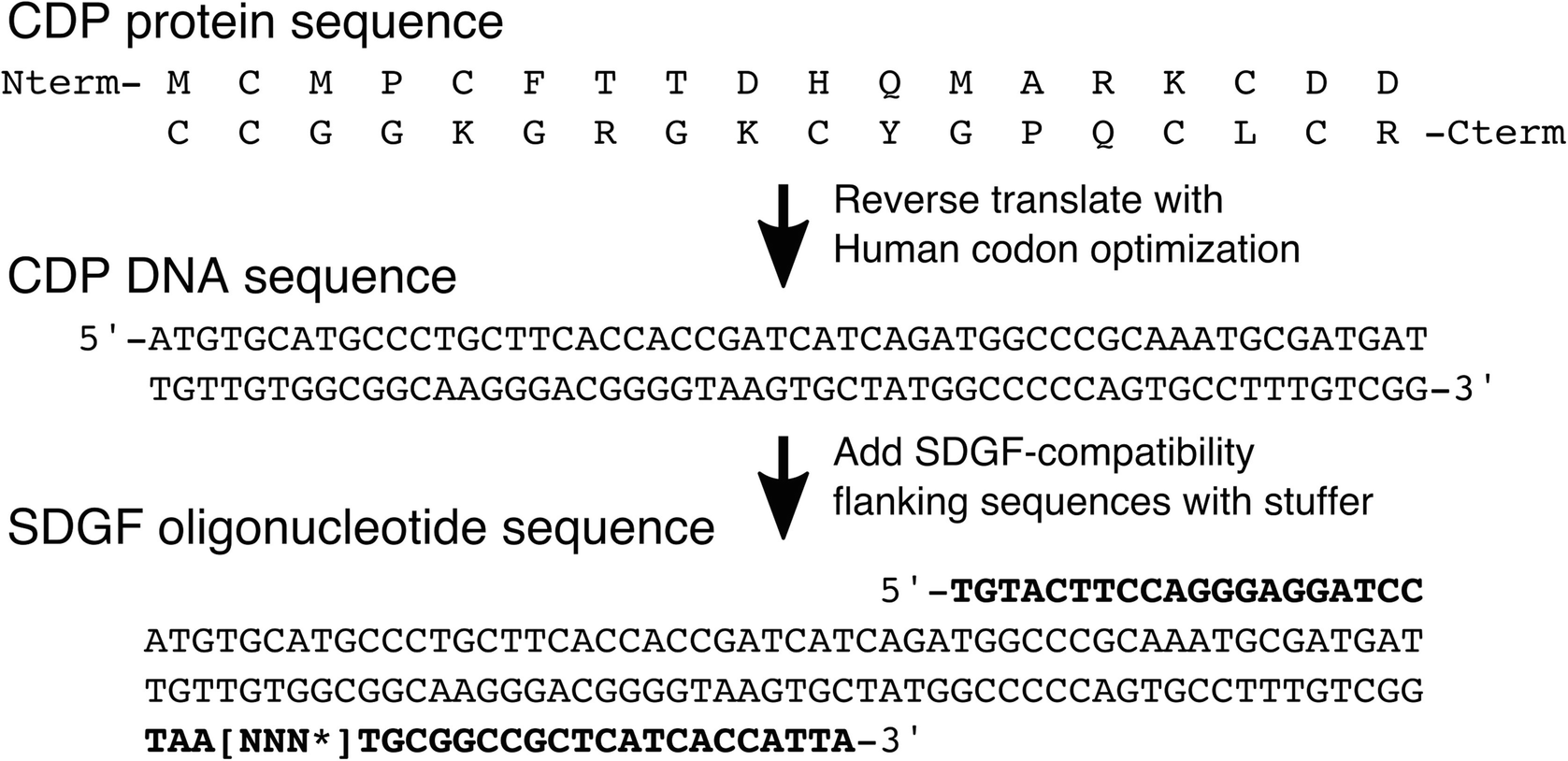 Figure 3 | Mammalian Surface Display Screening of Diverse Cystine-Dense Peptide Libraries for Difficult-to-Drug Targets | SpringerLink figure-3-mammalian-surface-display-screening-of-diverse-cystine-dense-peptide-libraries-for-difficult-to-drug-targets-springerlink