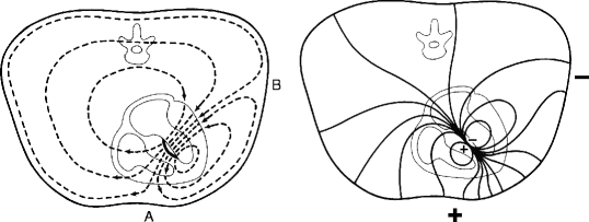 Figure 32.1