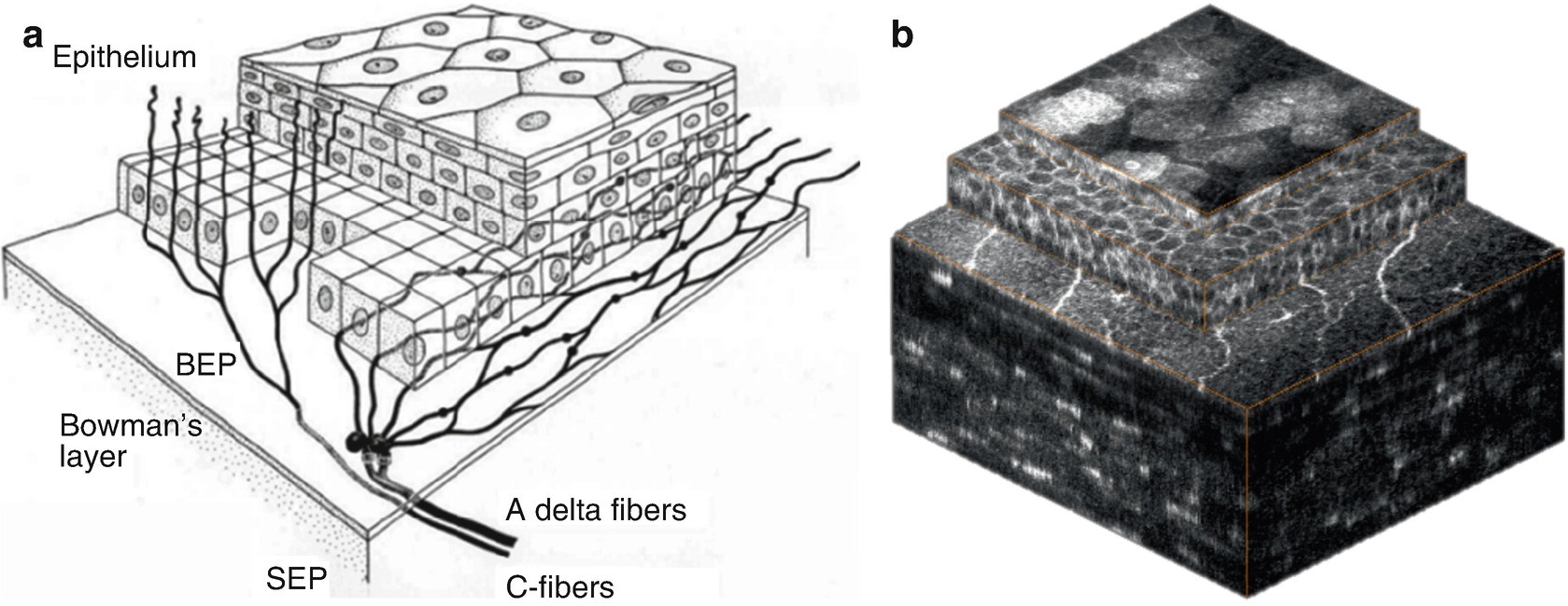 Fig. 12.17