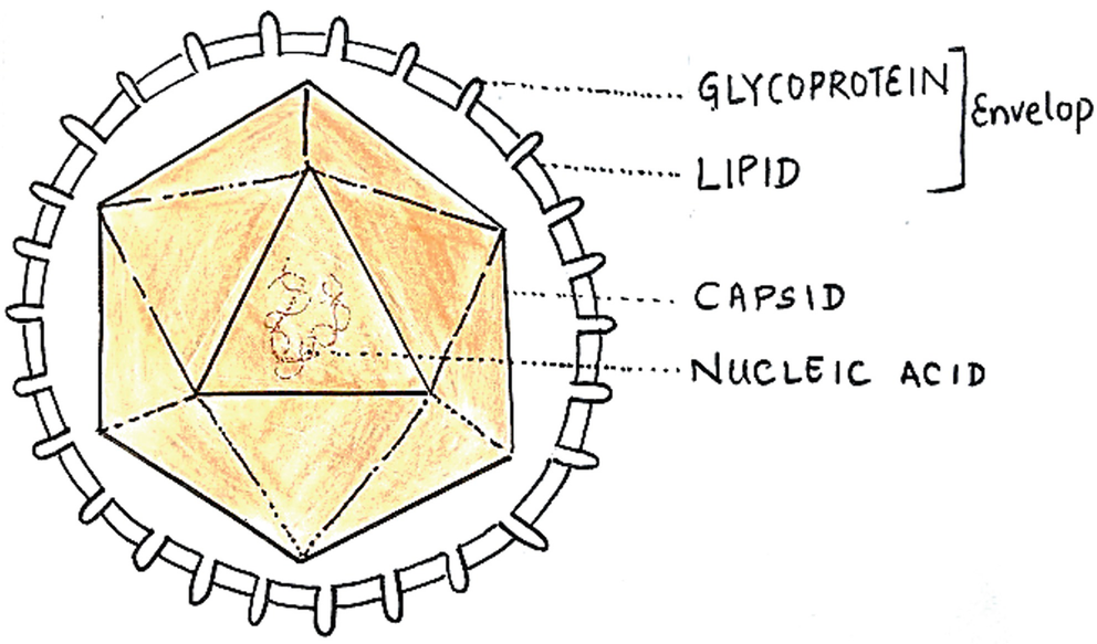 Fig. 1