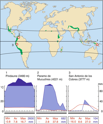 vegetation belt definition