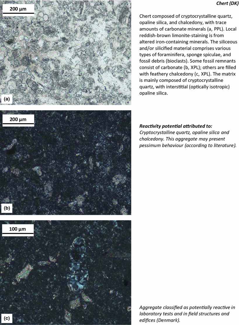 Sedimentary Rocks | Springer Nature Link (formerly SpringerLink)