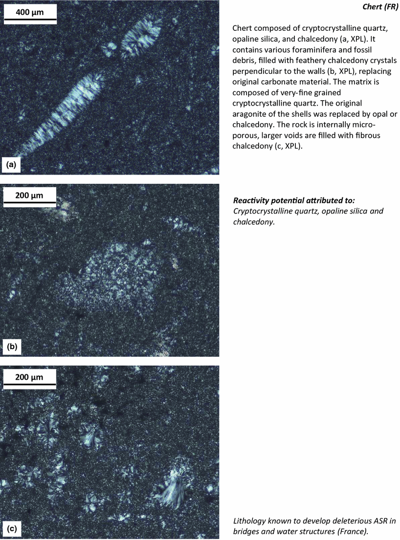 Sedimentary Rocks | Springer Nature Link (formerly SpringerLink)