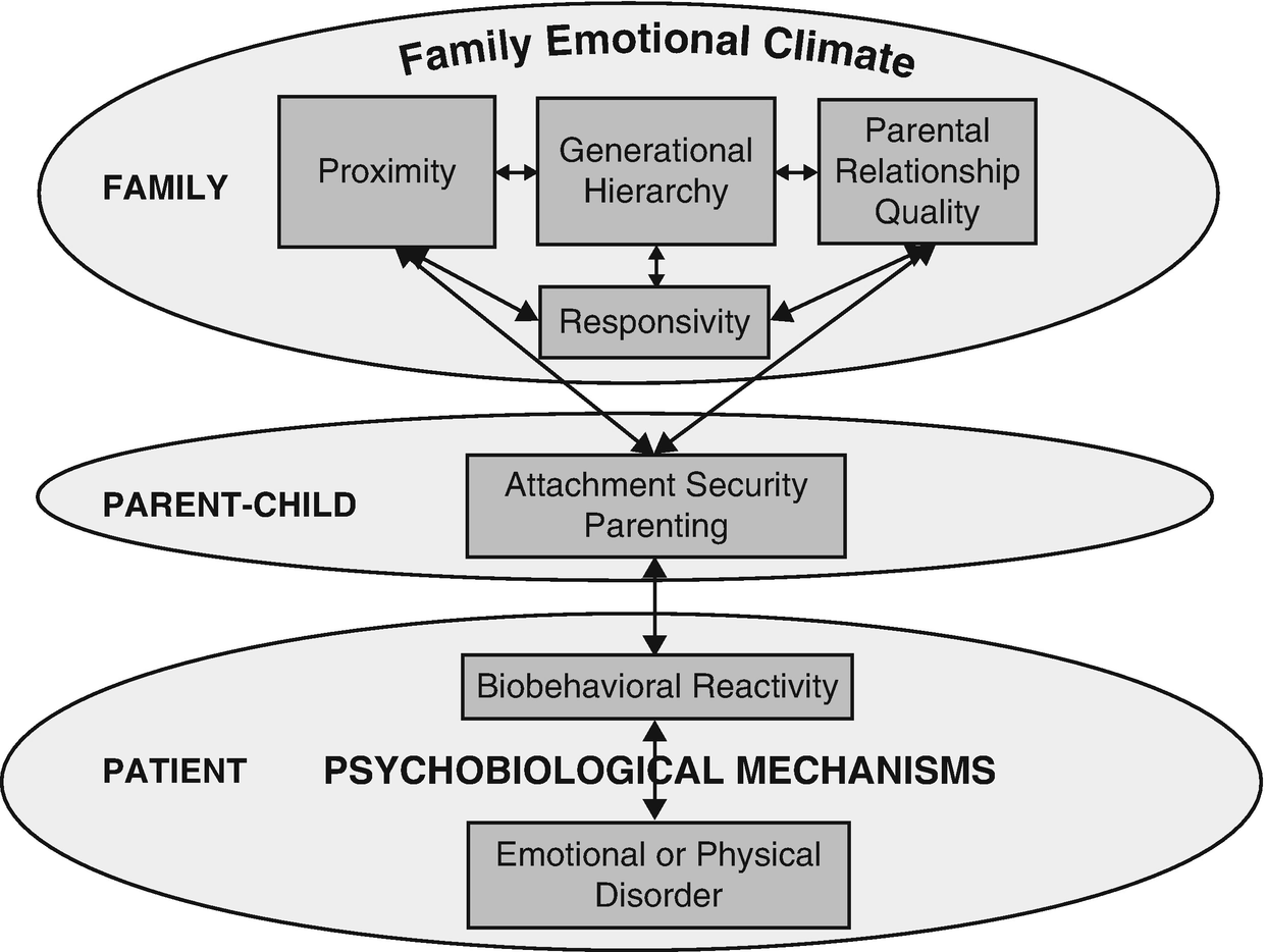 Biobehavioral Family Model, The, Fig. 1