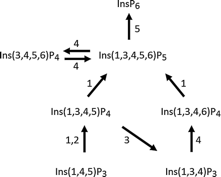 ITPK1 (Inositol Tetrakisphosphate 1-Kinase), Fig. 2
