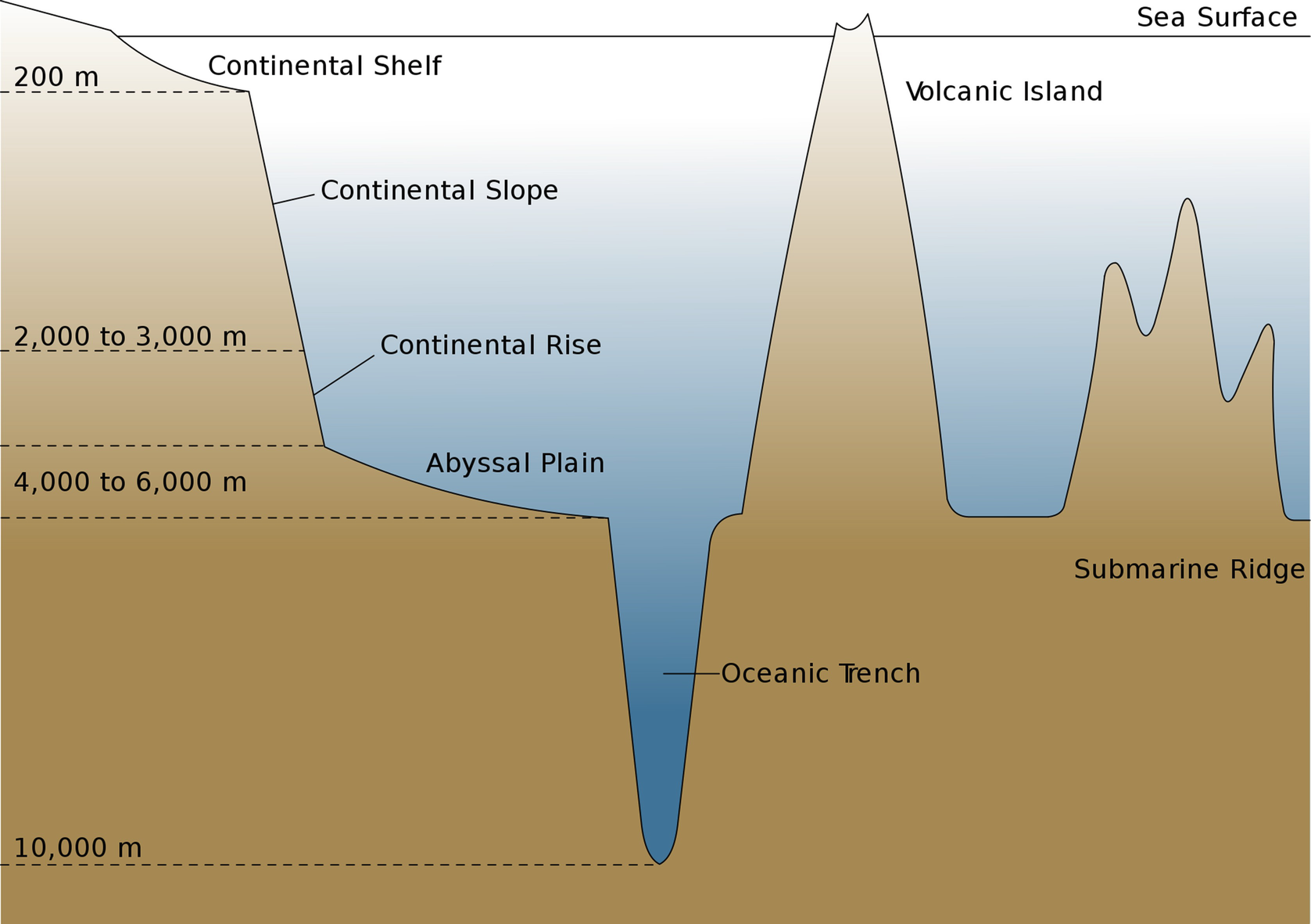 Marine Environments, Fig. 1