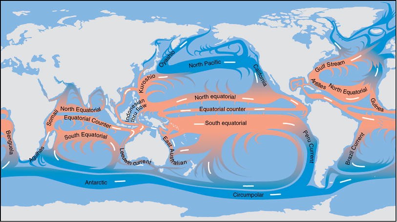 Global Ocean Circulation and Coral Reefs. Figure 1