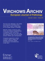 Virchows Archiv 2/2025