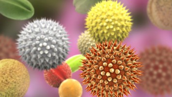 Pollen von unterschiedlichen Pflanzen