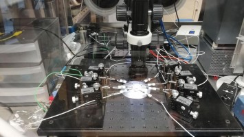 TU Graz opens Christian Doppler Laboratory for Solid State Batteries