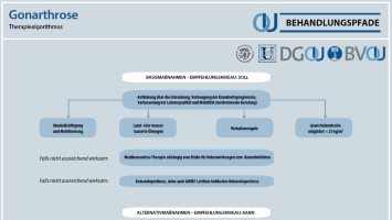 Behandlungspfad Gonarthrose