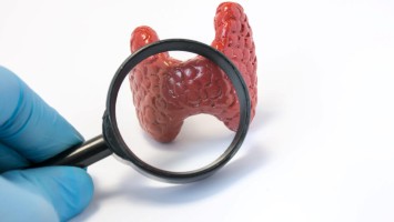 Schilddrüse unter der Lupe