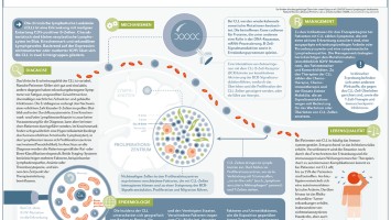 Chronische Lymphatische Leukämie