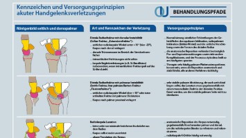 Kennzeichen und Versorgungsprinzipien akuter Handgelenksverletzungen