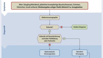 Vorgehen bei klinischem V. a. Invagination