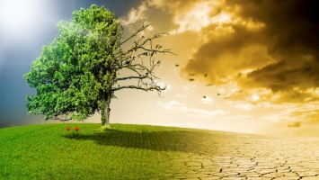 Klimawandel