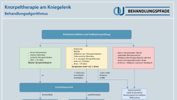 Knorpeltherapie am Kniegelenk