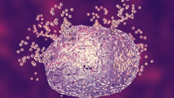 Mastzelle die Histamine aus Vesikeln freigibt
