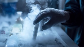 Eizellen oder Spermienzellen werden kryokonserviert