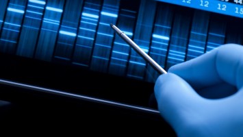Person zeigt mit Stift auf PCR Befund
