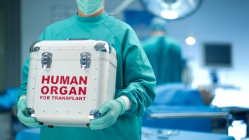 Organspende