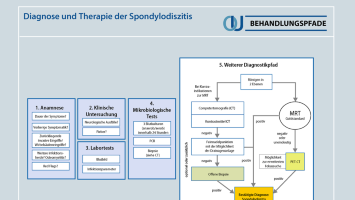 Diagnose und Therapie der Spondylodiszitis