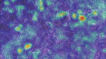 Microscope Image of Steel Grain Sizes