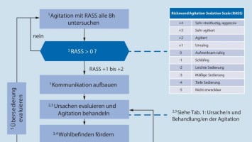 Handlungsalgorithmus: Agitation bei kritisch kranken Patienten
