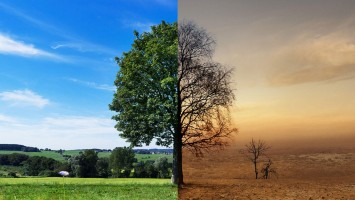 Klimawandel