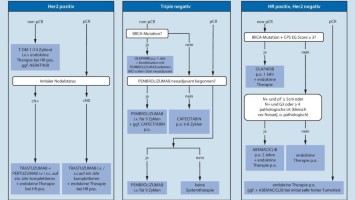 Handlungsalgorithmus post-neoadjuvante Therapie bei Mammakarzinom