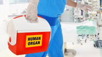 Arzt transportiert Spenderorgan 