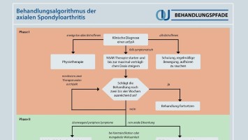 Behandlungsalgorithmus der axialen Spondyloarthritis