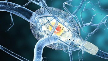 Schubförmige Multiple Sklerose - Ublituximab macht einen relevanten Unterschied