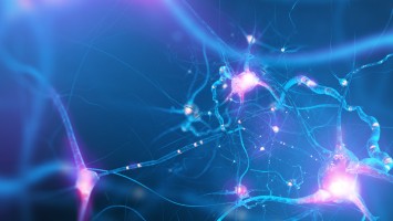 Teaserbild: Memorandum Multiple Sklerose - Aktuelle Entwicklungen in der Therapie