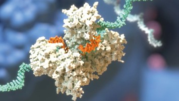 Teaserbild - Pionier der RNAi-Technologie