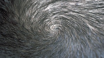 Haarwirbel