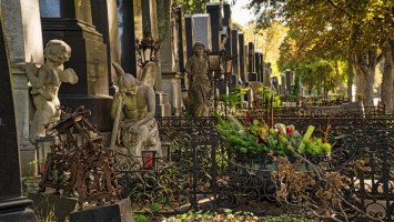 Zentralfriedhof