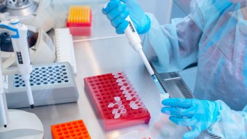 Pipettieren von Proben unter Sterilbank